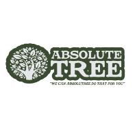 Absolute Tree image 1